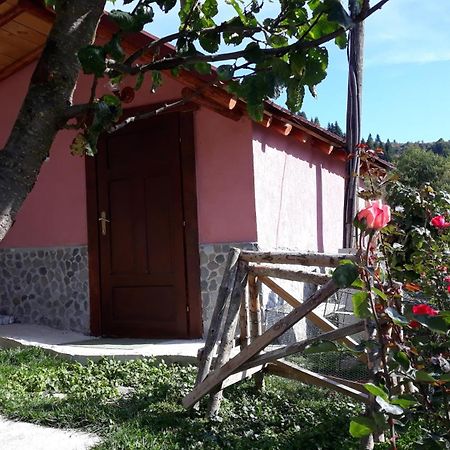 Villa Vrben Bagian luar foto