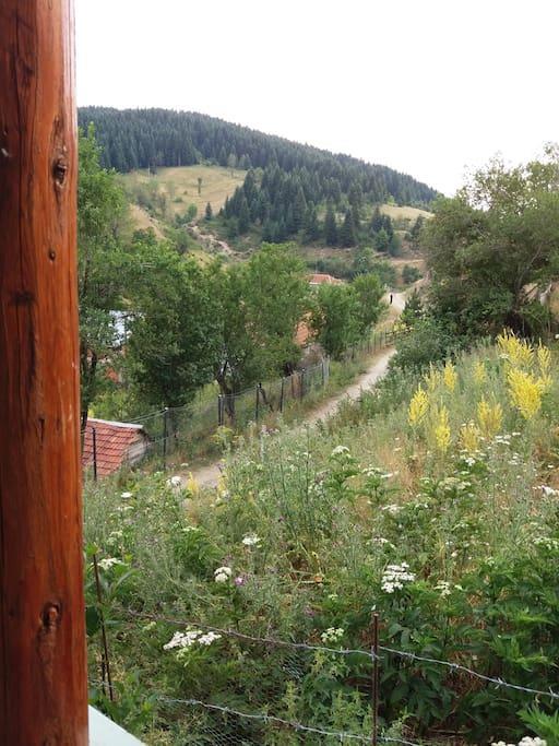 Villa Vrben Bagian luar foto