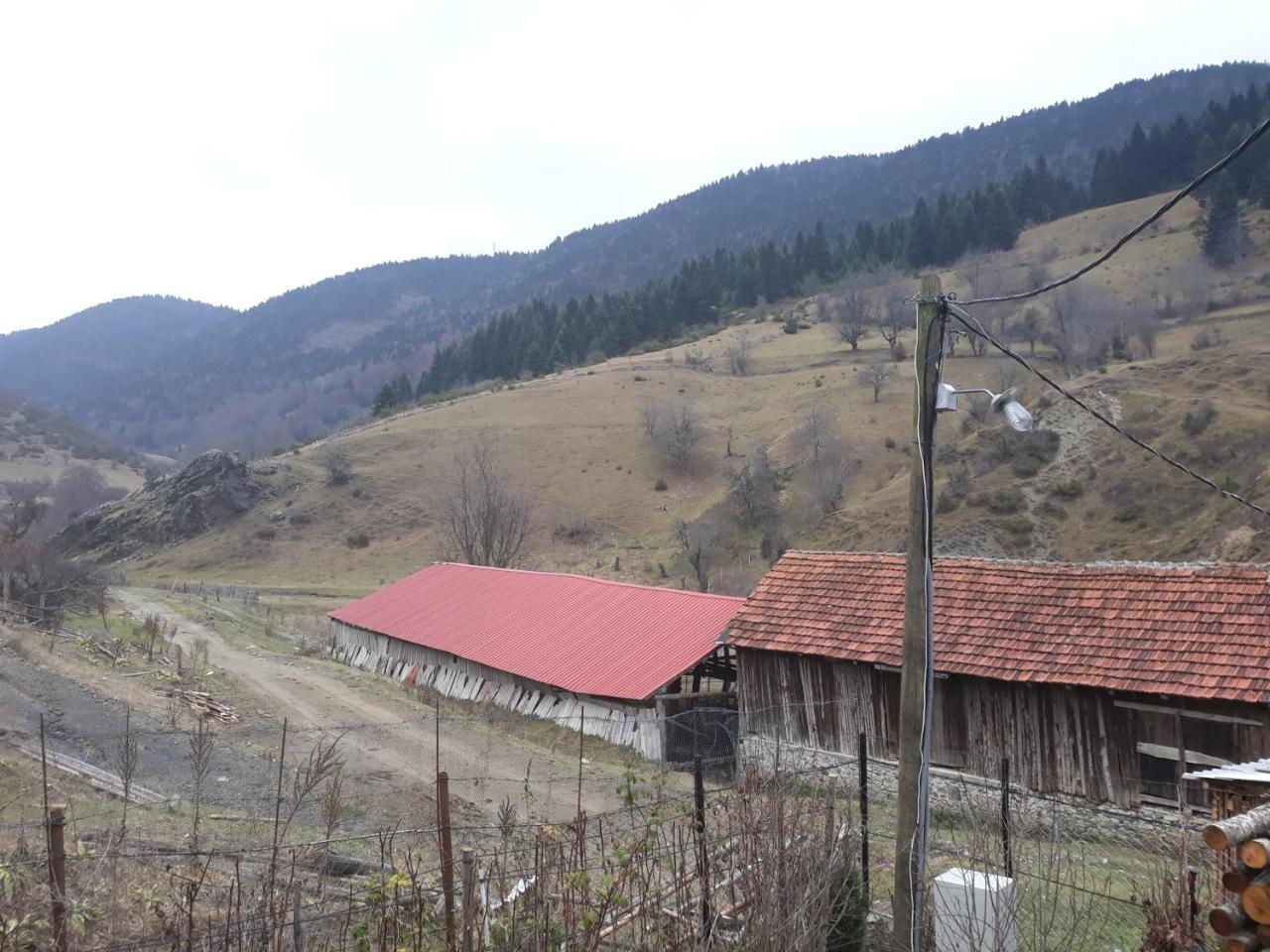 Villa Vrben Bagian luar foto