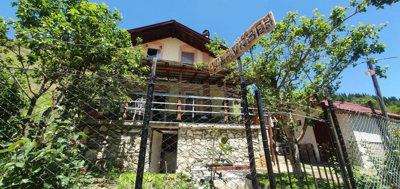 Villa Vrben Bagian luar foto