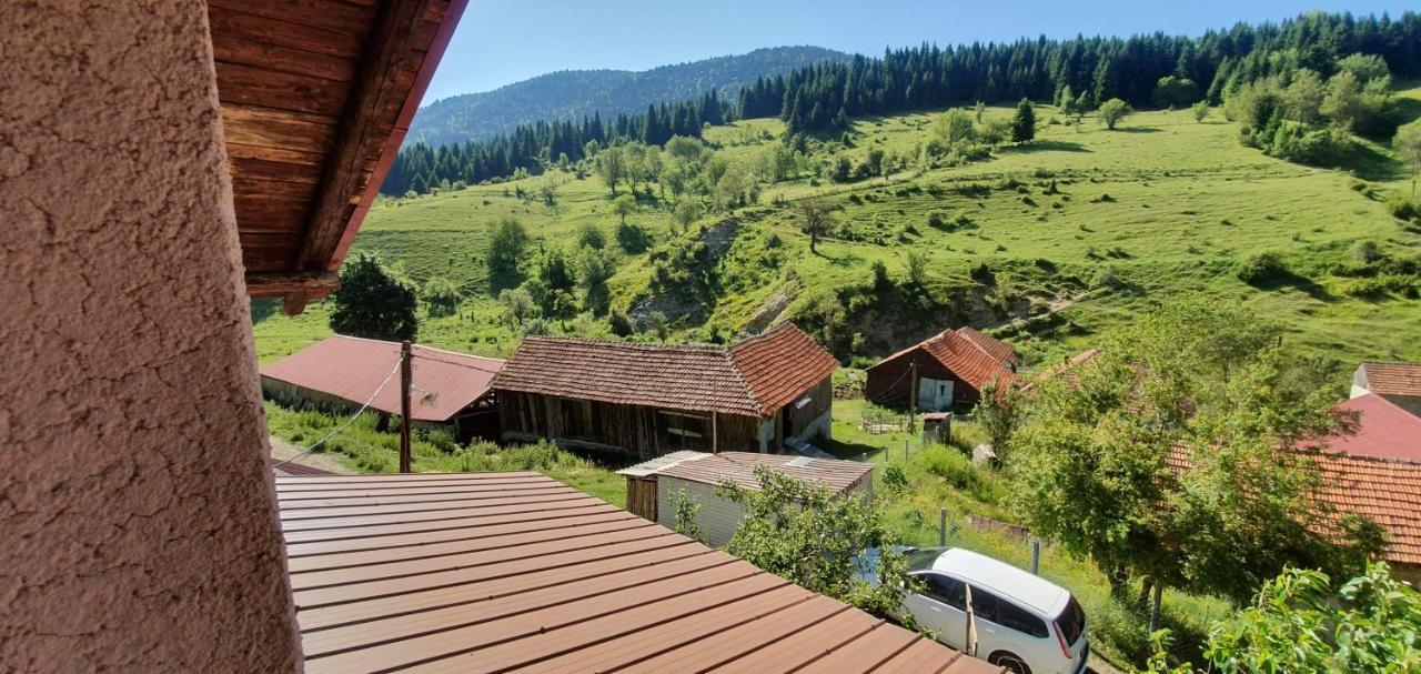 Villa Vrben Bagian luar foto